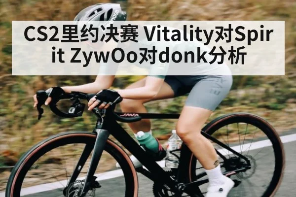 CS2里约决赛 Vitality对Spirit ZywOo对donk分析